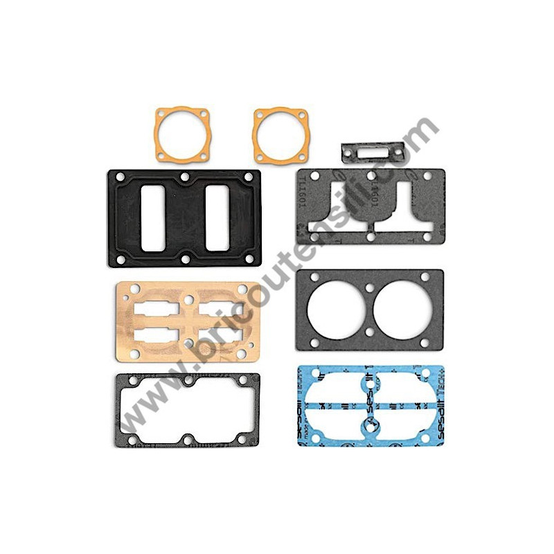 Gruppo Pompante per Compressore a Cinghia A29B BLU