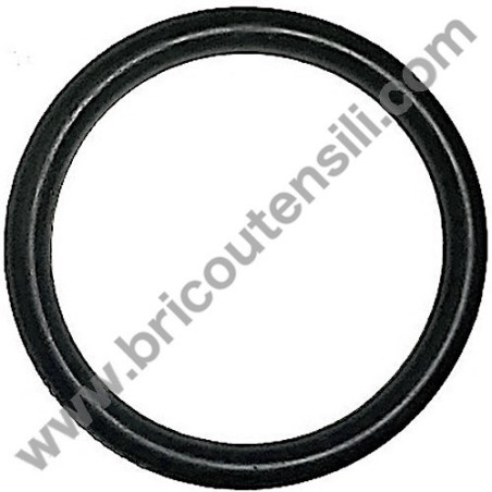 O-Ring mm 21,95x1,78 per Idropulitrici Annovi & Reverberi Serie 5