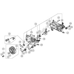 Ricambi Tanaka per Motosega ECV5601