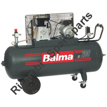 BALMA Spare Parts for Air Compressor NS19S-200 CT3 V400