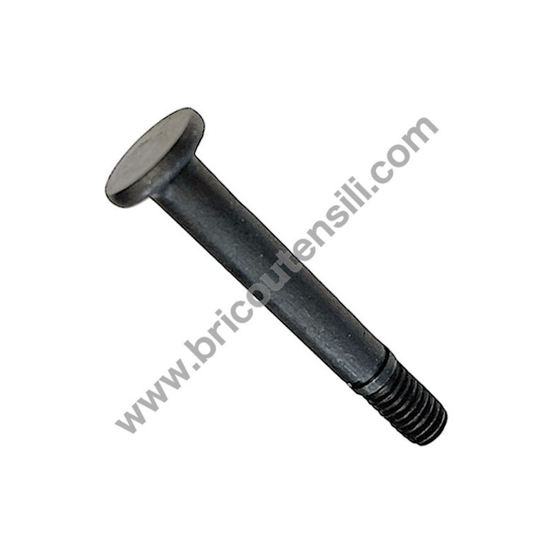 Vite Blocco Protezione Coltelli per Pialla Filo Spessore FEMI PF204