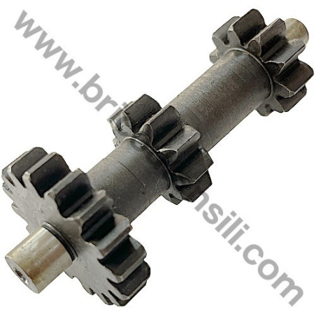 Ingranaggio 1a e 2a per Motozappa Meccanica Benassi RL 7