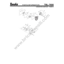 Ricambi Tanaka per Soffiatore TBL-7600R
