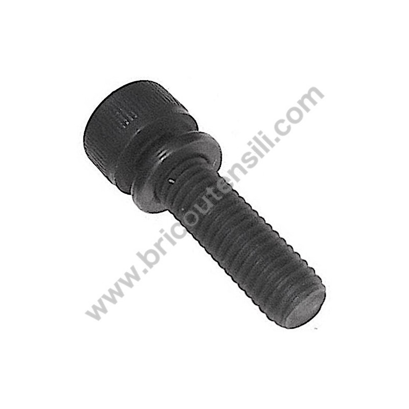 Bolt M5X18/S for Chainsaws Hitachi CS38EK-CS45EL