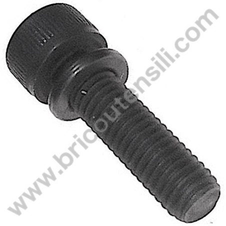 Ricambi Hitachi per Motosega da Potatura Hitachi CS25EC-SC