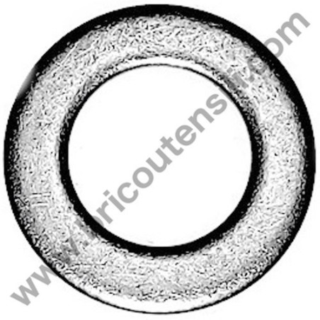 Rondella Vite Regolazione Pompa Olio per Motosega Tanaka TCS-2800S