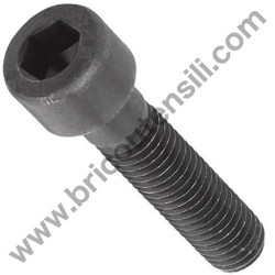 Hex Socket Hd Bolt M5X50 for Hedge Trimmer Tanaka THT 210
