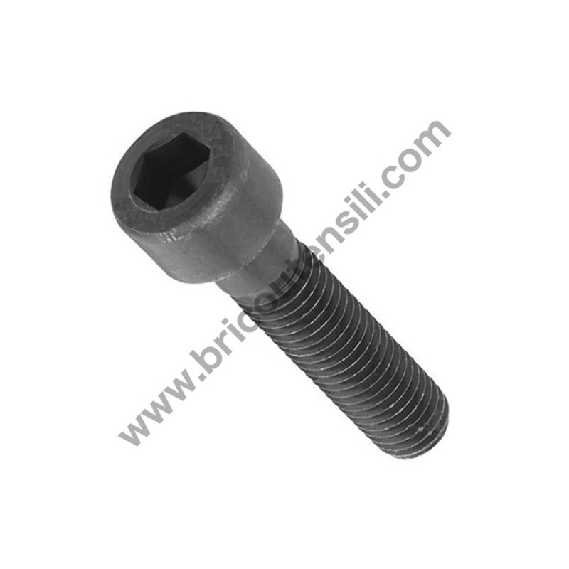 Hex Socket Hd Bolt M5X50 for Hedge Trimmer Tanaka THT 210