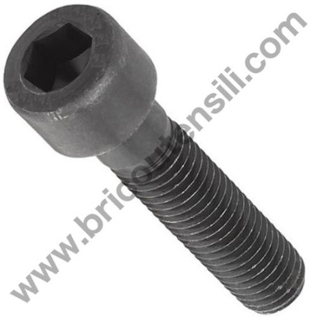 Hex Socket Hd Bolt M5X50 for Hedge Trimmer Tanaka THT 210