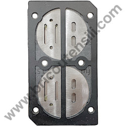 Valve Plate Kit for Pump Unit ABAC A29B - 1