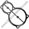 Head Plate Gasket for Pump Unit ABAC B4900 - NS29