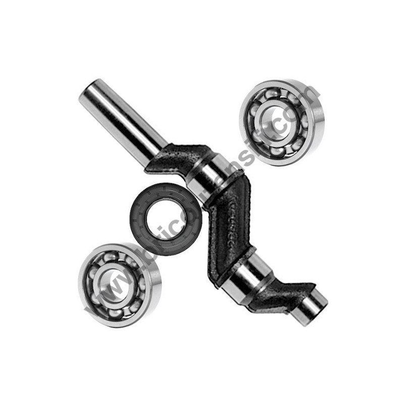 ABAC Crankshaft Kit for Pump Unit B2800