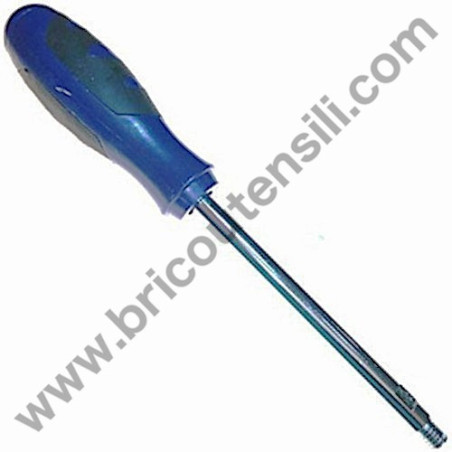 Innesto Punta per Hammer 70100 SDS-MAX