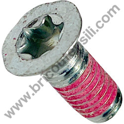 Vite Torx M.5X12 per Motoseghe Makita DCS4301/38