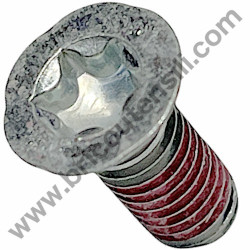 Torx C.S. Head Screw M5X12 for Chainsaw Makita DCS4301/38