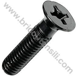 Vite Sinistra M6X25 per Avvitatore Hitachi DV18DBL2