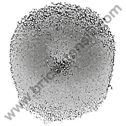 Oil Pump Screw Sponge for Chainsaws AMA NTH 26.10 - NTH 26.10C