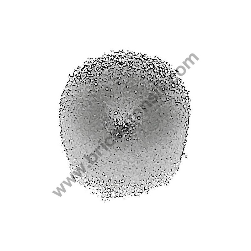 Oil Pump Screw Sponge for Chainsaws AMA NTH 26.10 - NTH 26.10C