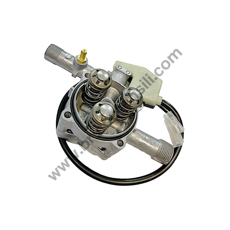 Body Guide + Head Ass'y for Pressure Washer Lavor RIO 1108