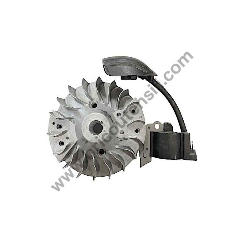 Flywheel + Ignition Coil for Brushcutter Hitachi CG40EAS