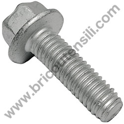 Bullone Telf-Form 3/8"x 1"1/4 per Rasaerba Alpina BL 510 SHQ