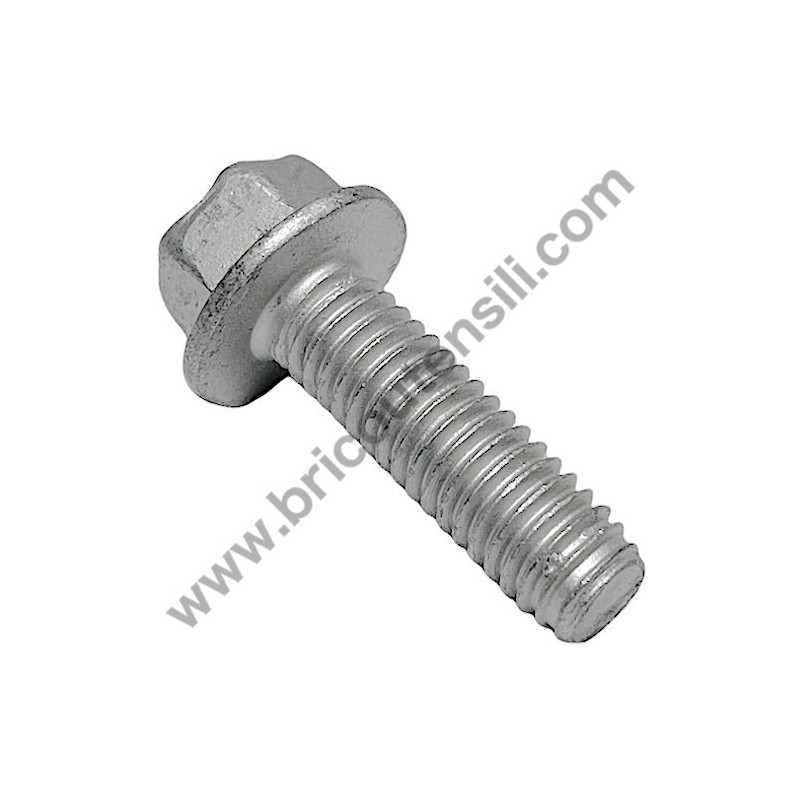 Bullone Telf-Form 3/8"x 1"1/4 per Rasaerba Alpina BL 510 SHQ