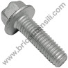 Bullone Telf-Form 3/8"x 1"1/4 per Rasaerba Alpina BL 510 SHQ