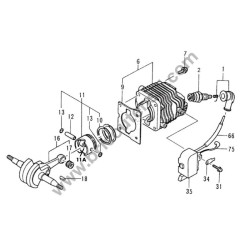 Tanaka Spare Parts for Chainsaw ECS 3500 B-C-D