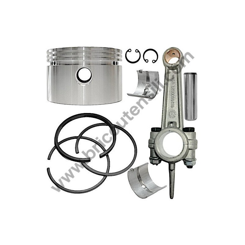 Gruppo Pompante per Compressore a Cinghia A29B BLU