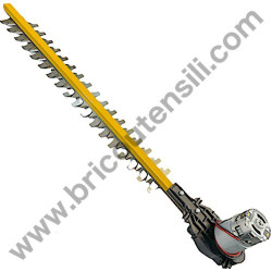 Ricambi Hitachi per Motosega da Potatura Hitachi CS25EC-SC