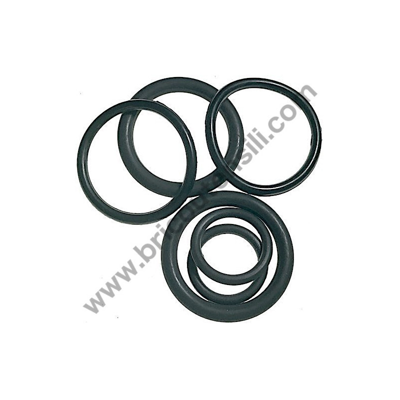 Anelli O-Ring Pistone e Cilindro per Martello Valex Hammer 6050