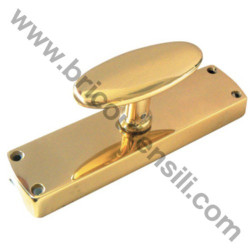 Brass Espagnolette type Case