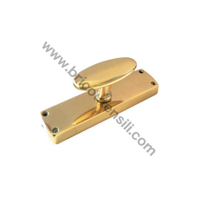 Brass Espagnolette type Case