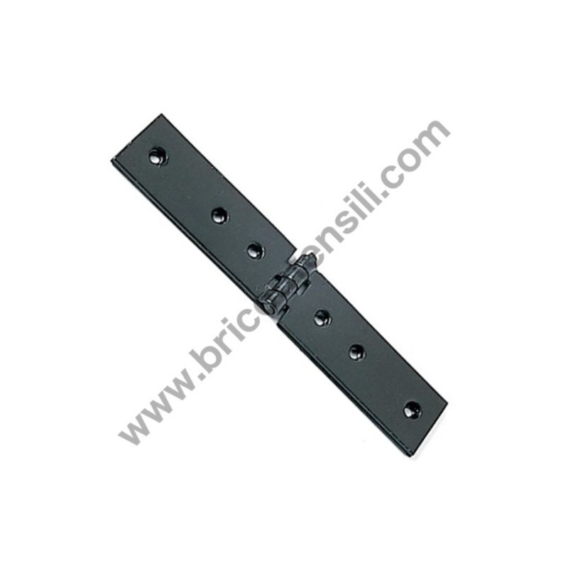 Hinges Ase Painted 160 mm