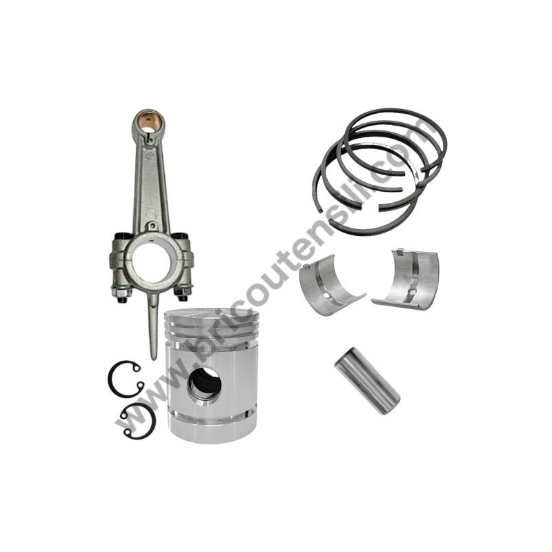 Gruppo Pompante per Compressore a Cinghia A29B BLU