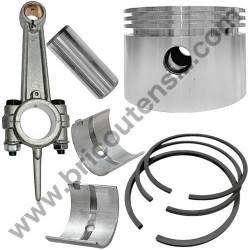 Gruppo Pompante per Compressore a Cinghia A29B BLU