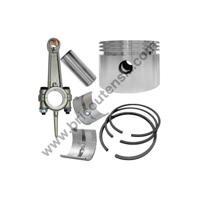 Gruppo Pompante per Compressore a Cinghia A29B BLU