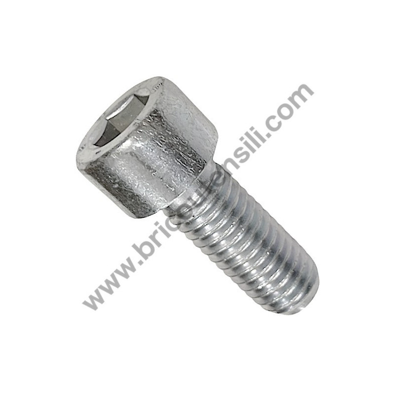 Gruppo Pompante per Compressore a Cinghia A29B BLU