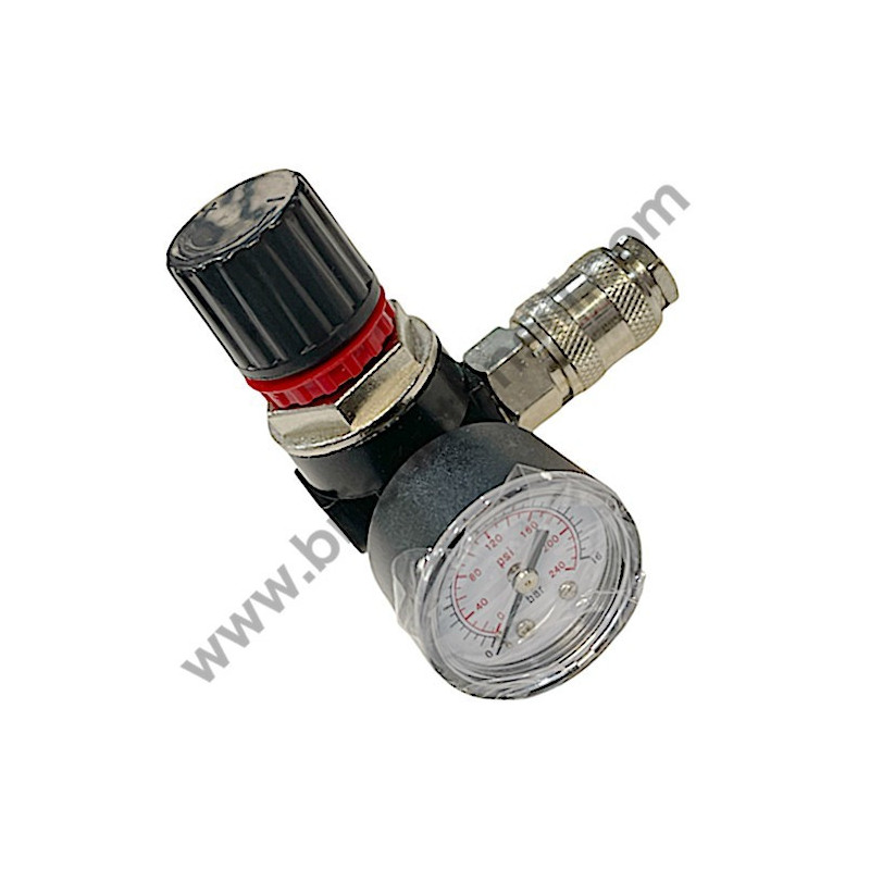 Gruppo Pompante per Compressore a Cinghia A29B BLU