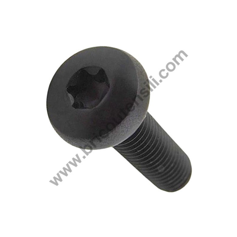 Torx Screw M4x10 for Chainsaw Alpina AC 42