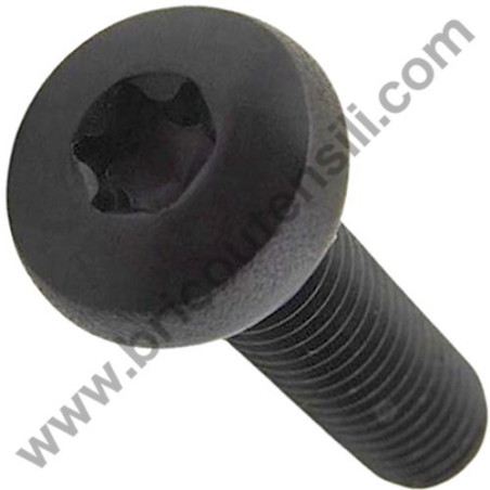 Torx Screw M4x10 for Chainsaw Alpina AC 42