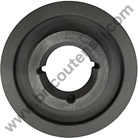 Gruppo Pompante per Compressore a Cinghia A29B BLU