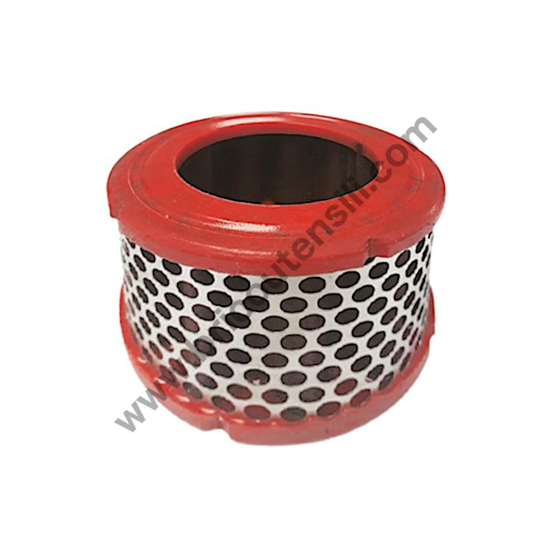 Gruppo Pompante per Compressore a Cinghia A29B BLU