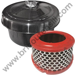 Gruppo Pompante per Compressore a Cinghia A29B BLU