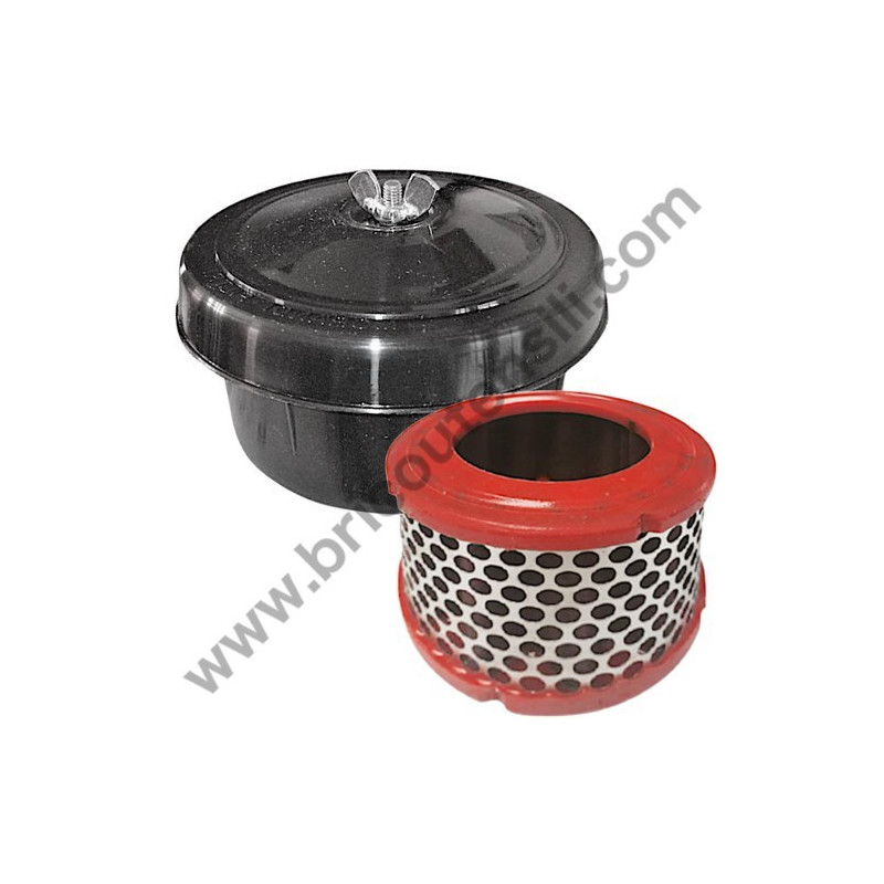 Air Filter Assembly for Pump Unit NS39