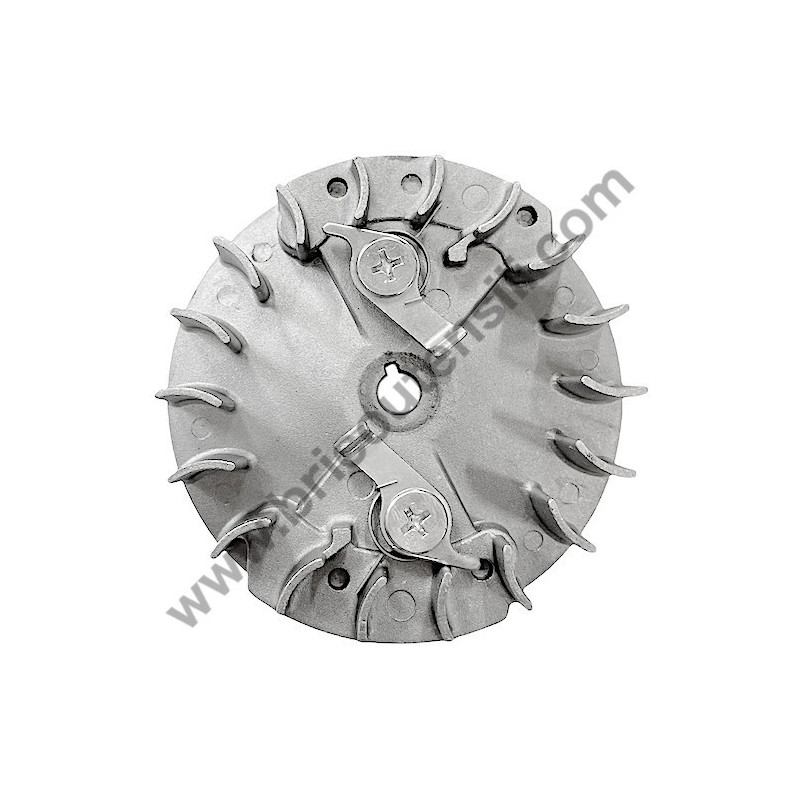 Flywheel Assembly for Chainsaw Valex Easy 26 Catalyzed