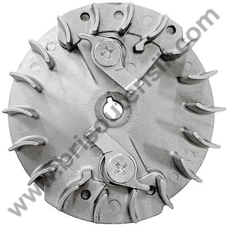Flywheel Assembly for Chainsaw Valex Easy 26 Catalyzed