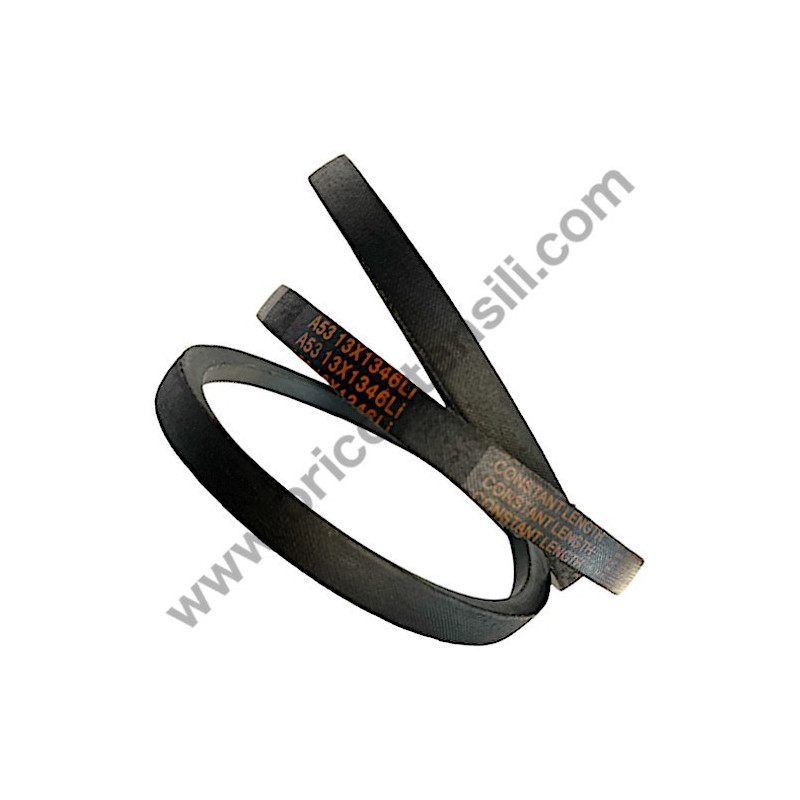 Gruppo Pompante per Compressore a Cinghia A29B BLU