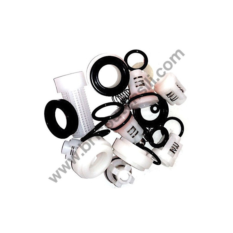 Kit Inlet-Outlet Valves for Pressure Washers Blue Clean AR490-12769