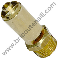 Valvola di Sicurezza 3/8" 11 Bar per Gruppo Pompante ABAC A29B